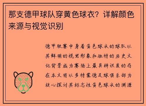 那支德甲球队穿黄色球衣？详解颜色来源与视觉识别